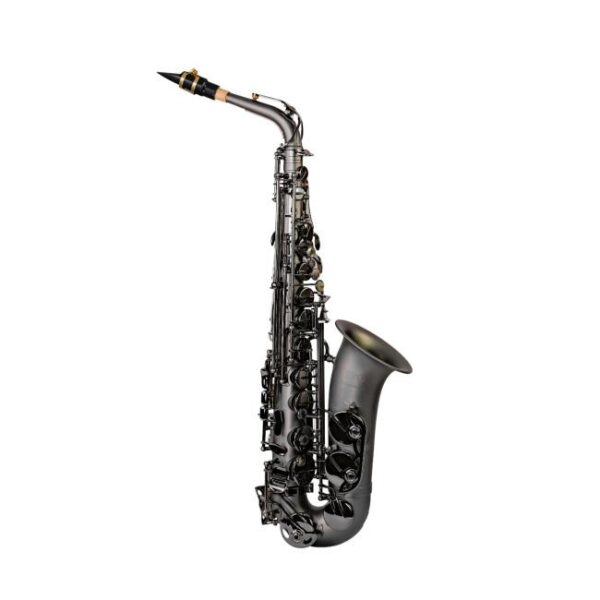 Trevor James | 374E-BBF Evo Alto Saxophone | Black Frost Finish